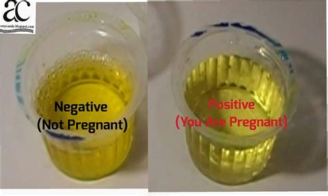 testing pregnancy with vinegar